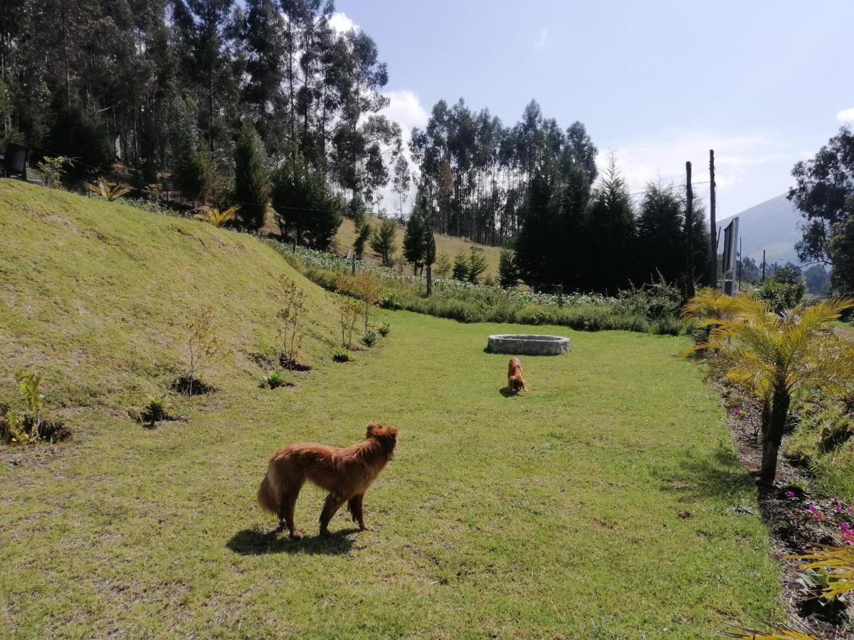 Hotel Samay Toa Otavalo Zewnętrze zdjęcie