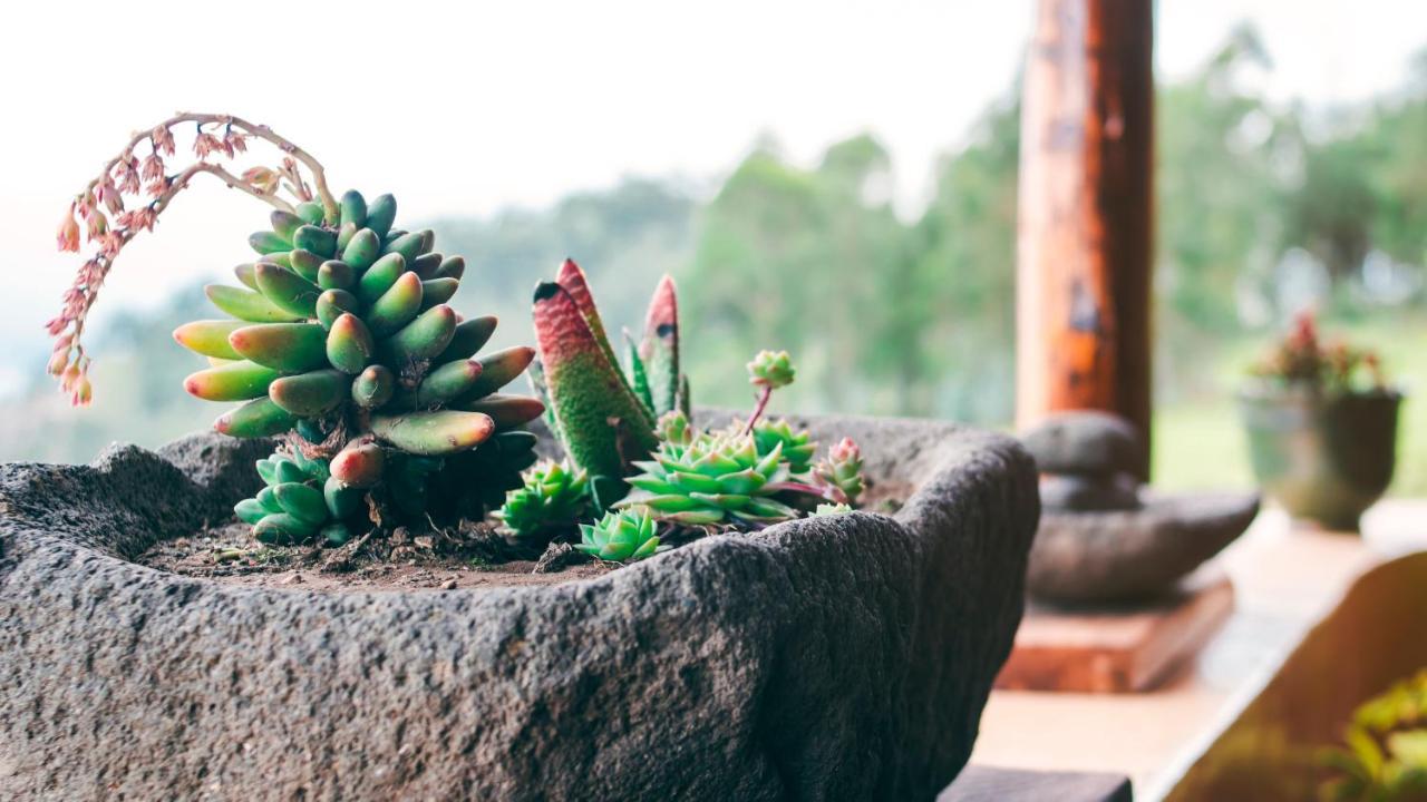 Hotel Samay Toa Otavalo Zewnętrze zdjęcie