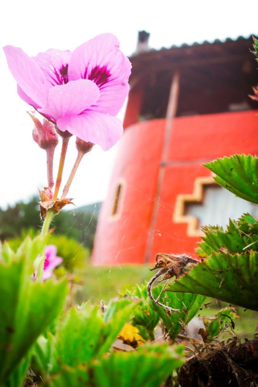 Hotel Samay Toa Otavalo Zewnętrze zdjęcie
